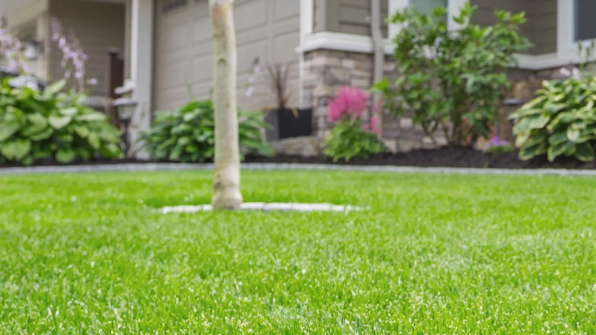 Close up of a lawn that we recently mowed with a properly maintained landscape in the background. 