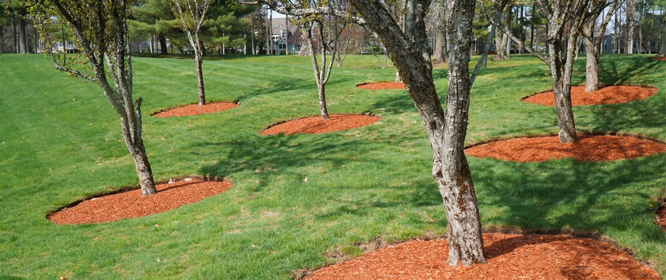 A large commercial property that we regularly maintain and just laid fresh mulch.