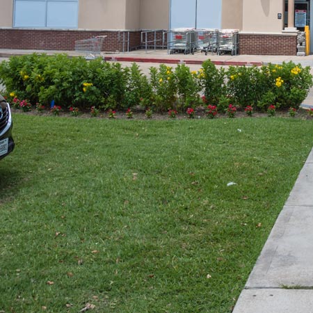 Contact Info For Elegant Lawn Care Inc., (610) 759-0000